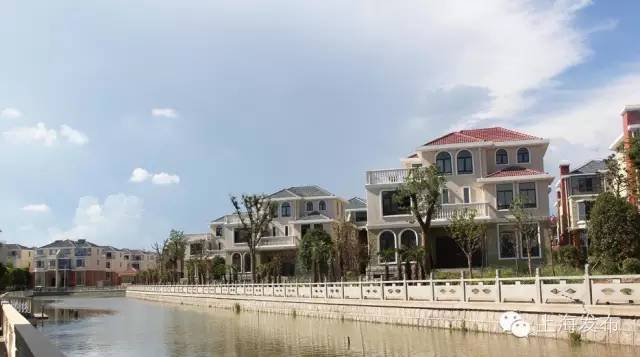 杨王.jpg